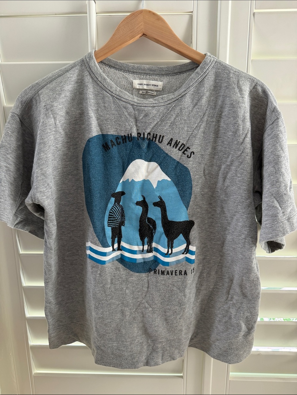 Isabel Marant Gray Graphic Machu Picchu Andes Sweatshirt Tee